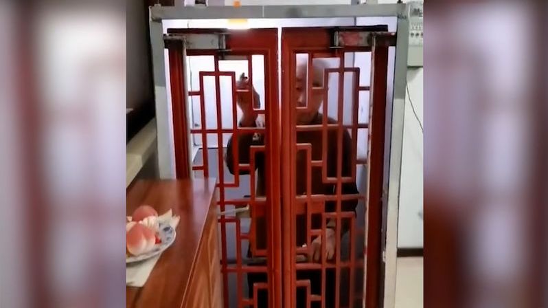 Inženýr v důchodu si doma vyrobil výtah